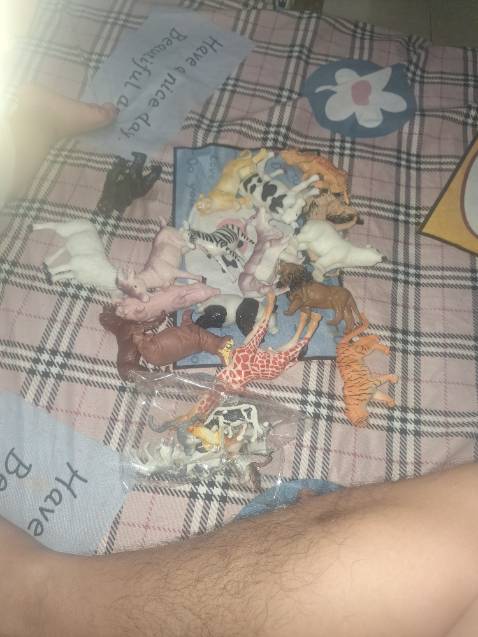 Sản phẩm tôi rất hài lòng . Con tôi rất thích. Giao hàng nhanh , lịch sự .