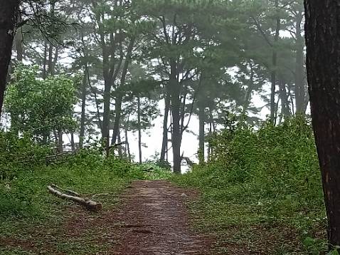 Sách mua giùm bạn, không có ảnh đâu ạ 🥲