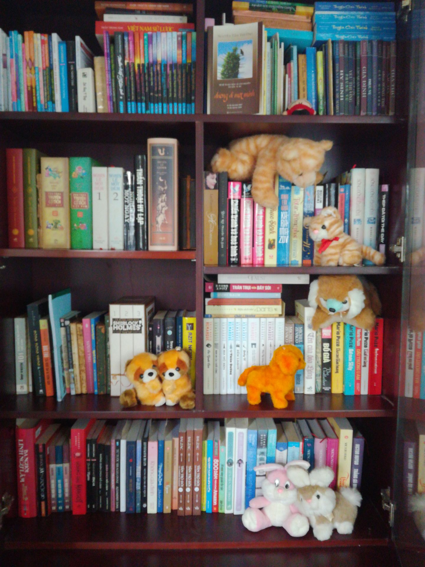 Mặc dù đã đọc trước thông tin và lời bình của mọi người nhưng khi mở hộp hàng Tiki ra vẫn ngạc nhiên một cách thích thú! Như một món quà được gửi tặng - dù là tiền mình mua cho mình 😜 Cầm quyển sách lên ngắm nghía, thấy từ "sách" có vẻ không công bằng sao sao đó, muốn buộc miệng gọi là "kho tàng" quá! Chưa đọc nên không biết hiệu đính chính tả có ổn không; mong là mọi sự hoàn hảo như bề ngoài của "kho tàng"