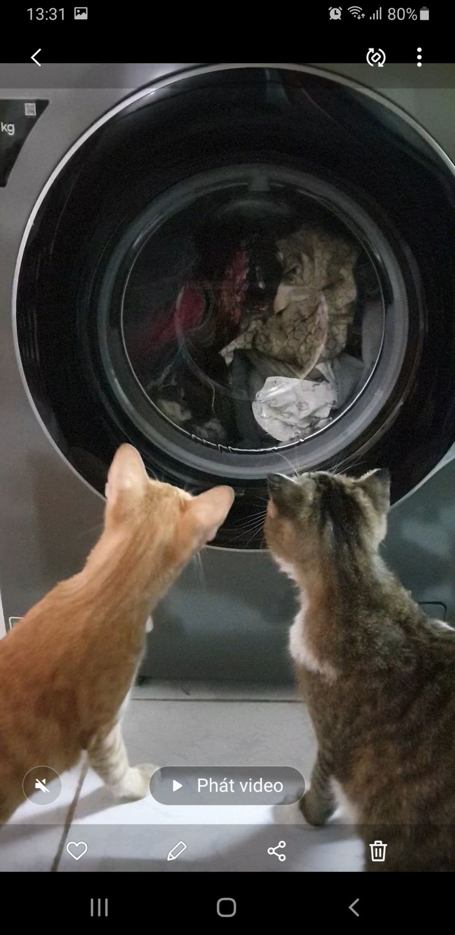 máy giặc sạch, ko bị kéo giãn đồ như cửa trên. có giặc nc nóng khử khuẩn cho đồ cần thiết. nhiều chế độ giặc. ko cần đế nếu không gian ko bị ướt phía dưới. giặc ko ồn. chỉ có ồn xíu lúc mới mở máy.