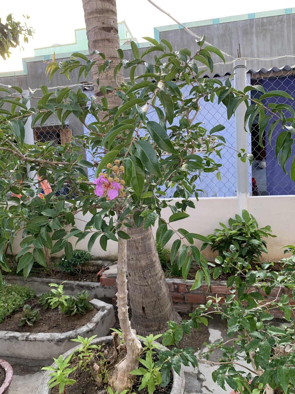 Hàng chất lượng trong tầm giá, shop gửi hàng rất nhanh, mình mua lần thứ 2 ở shop rồi, nước rửa chất lượng nên xài rất lâu