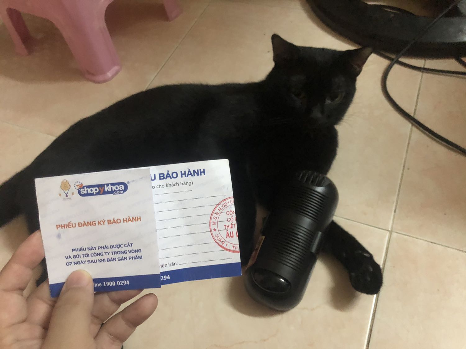 Sau khi dùng 3 ngày thấy okela lắm nha. 
Nhà nhiều mèo dùng an tâm hơn. 
Sản phẩm rất đáng tiền. Sau khi dùng 3 ngày thấy okela lắm nha. 
Nhà nhiều mèo dùng an tâm hơn. 
Sản phẩm rất đáng tiền.