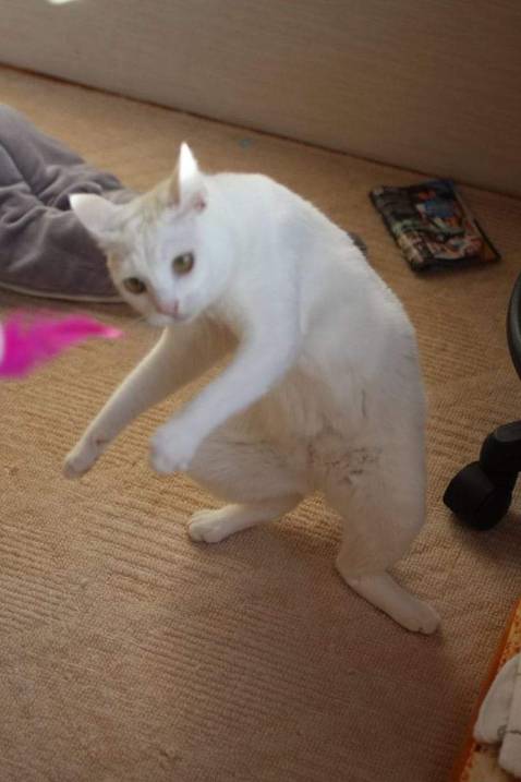 Giao hàng gấc nhanh, sách được bảo quản chống sốc gấc tốt, nội dung gấc hay, gấc cảm ơn.