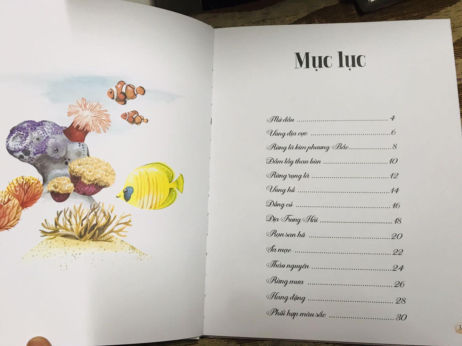 Huy Hoàng âm thầm ra cuốn sách đẹp và chất quá đi mất. Không nhiều chữ nhưng đọc cũng nhiều thơif gian do sẽ thích khám phá từng chữ từng hình vẽ. Một cuốn sách tuyệt vời để nuôi dưỡng tình yêu với vạn vật.