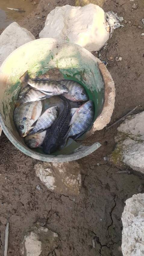 đẹp , giao nhanh, rất đẹp hàng gói cẩn thận