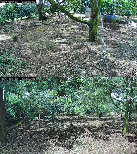 Dùng ok độ bền chua biết.