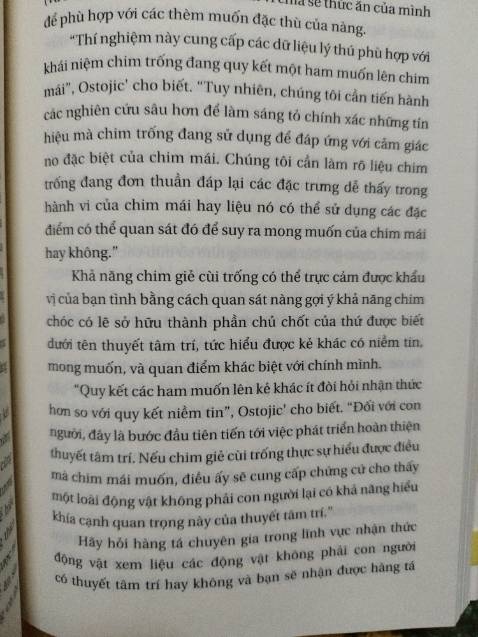 Nội dung thú vị và hài hước, mở ra một thế giới về loài chim thật sự kì diệu, một loài tưởng như không liên quan tới con người trong quá trình tiến hoá nhưng lại có rất nhiều thứ giống nhau!