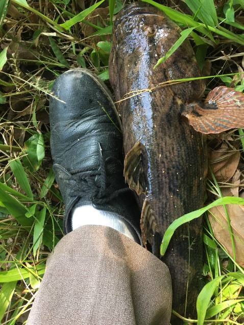 Chưa có thời gian ***. ..... hình ảnh và video vui là chính..