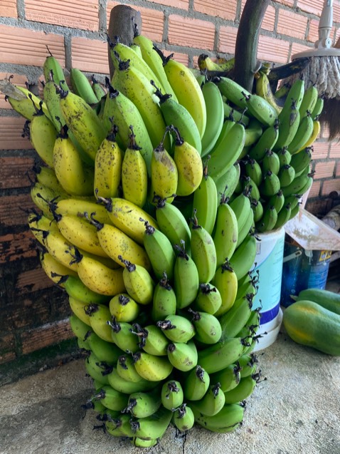 Mình đã mua nhiều lần! 
Tư vấn tốt
Chăm sóc khác hàng tốt
Sản phẩm ổn trong tầm giá
Do mình mua cho, nên không giữ lại hình
Hình ảnh chỉ mang tính chất nhận xu
Mình cảm ơn