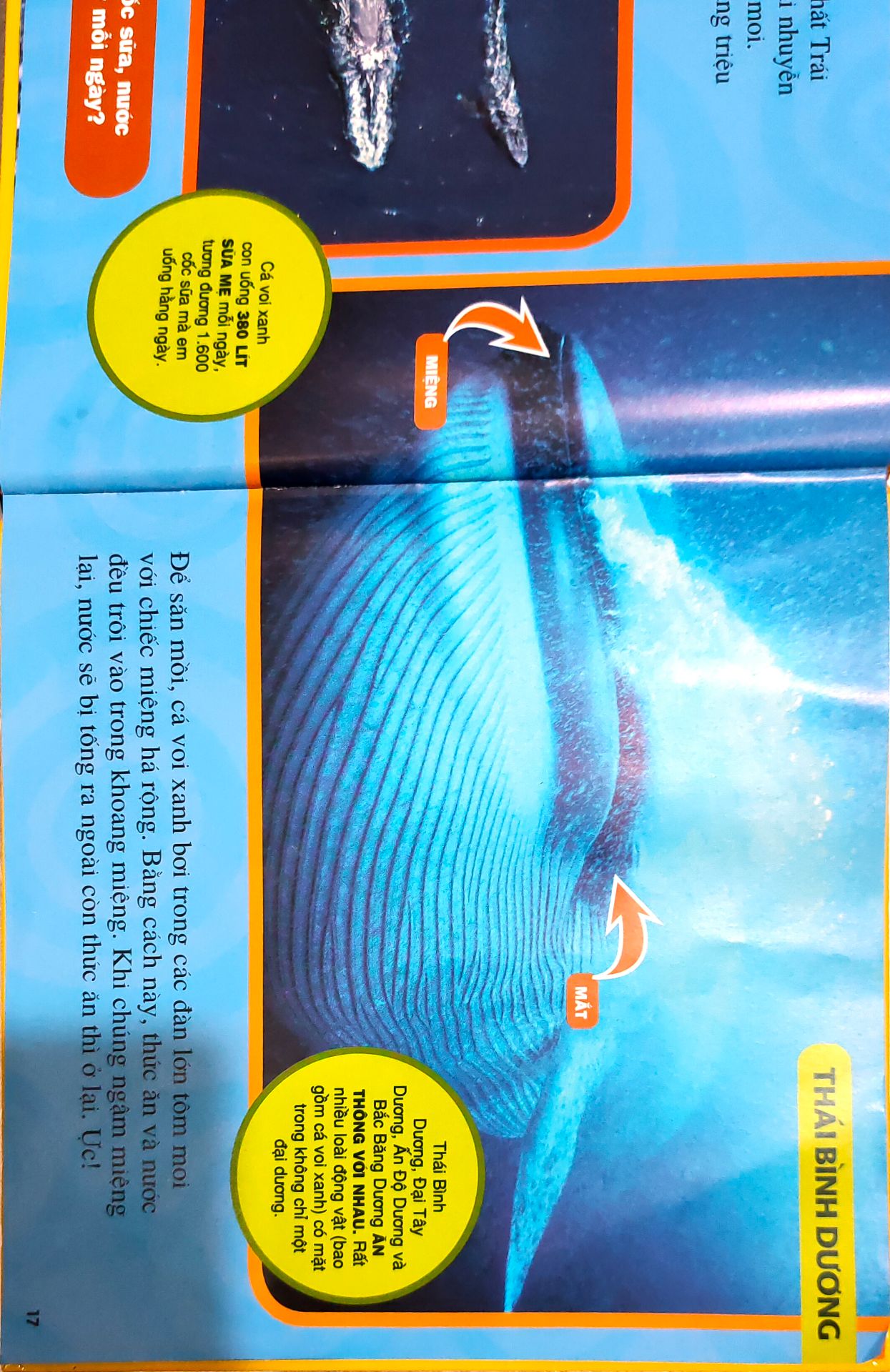 Hình ảnh thật tế sống động, chữ to rõ, trình bày bắt mắt. Thông tin hữu ích. Cách Hành văn đơn giản, dễ hiểu giúp các bé dễ tiếp thu. Rất hài lòng.