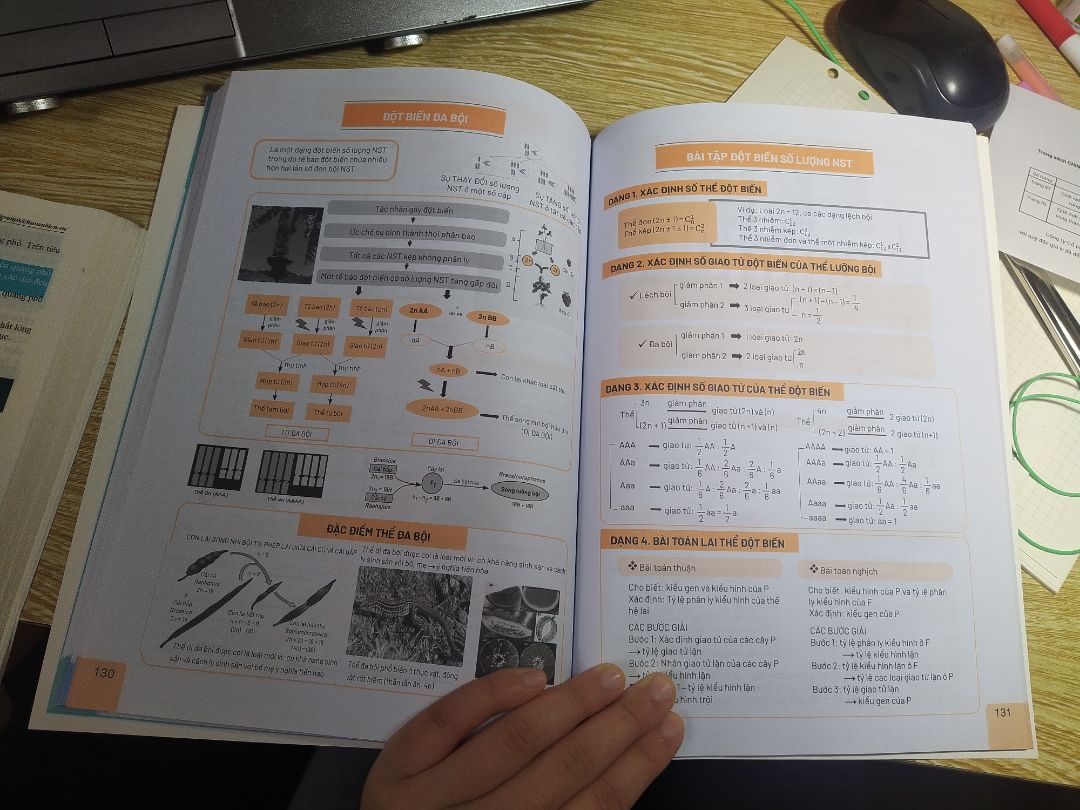 sách hệ thống kiến thức khoa học, thích hợp với ai học tốt bằng hình ảnh. chỉ là những kiến thức cơ bản nên dùng để học thi tốt nghiệp (không phải môn xét đại học) hoặc đánh giá năng lực mình nghĩ okk