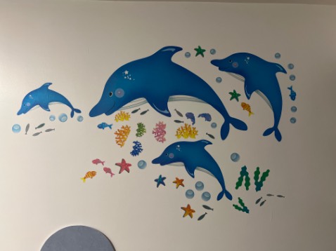 Đẹp như vẽ, ai cũng khen luôn