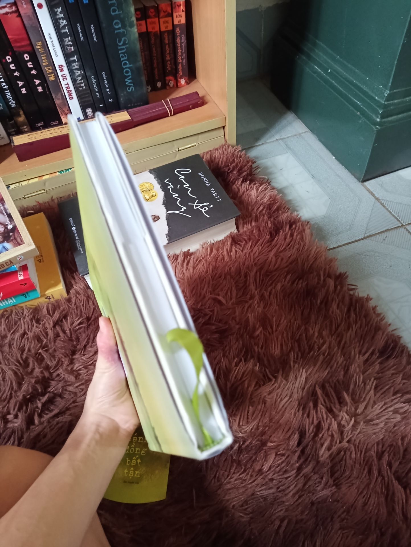 giao hàng nhanh, bao bọc rất cẩn thận( mong Tiki phát huy điểm này), sách rất đẹp, giấy chất lượng tốt, dày, gáy không bị gãy, nát, tranh minh hoạ kì công, phối màu rất hút mắt, đơn giản mà mộc mạc, phù hợp với không khí truyện.