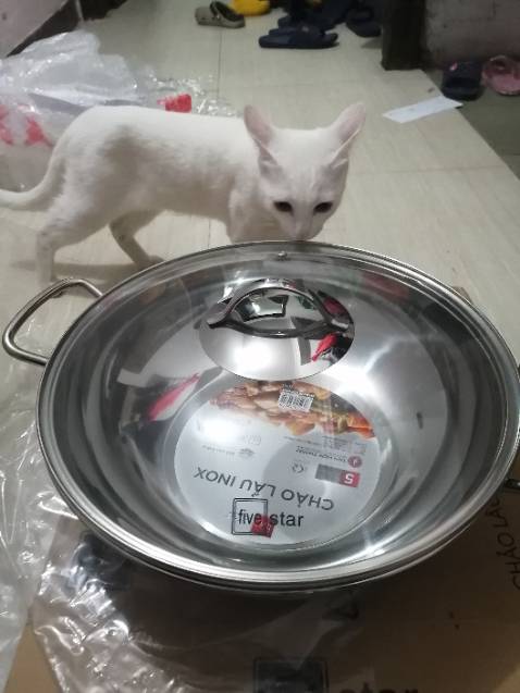 Nồi quá đẹp. Đẹp nhất trong các loại nồi của five star và vượt trội nồi các hãng khác. Giá mềm nhất chợ. Đóng gói siêu cẩn thận. Giao hàng sớm hơn dự kiến 13 ngày. Vote 5* cho shop!