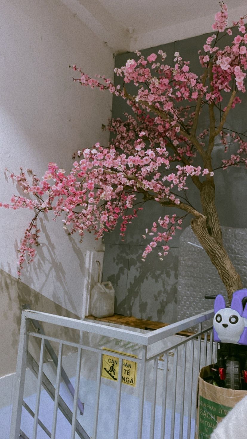 Sách xinh xẻo lắm 
Nhưng chưa kịp đọc