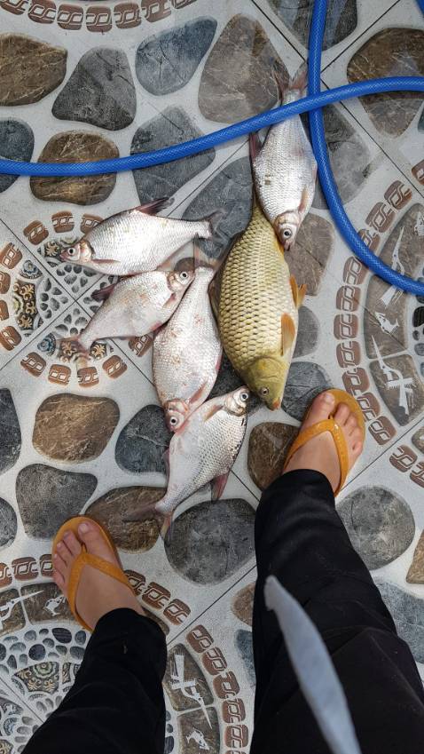 Giao hàng đầy đủ số lượng đã đặt, mẫu mã đẹp dễ sữ dụng độ bền tùy người sủ dụng