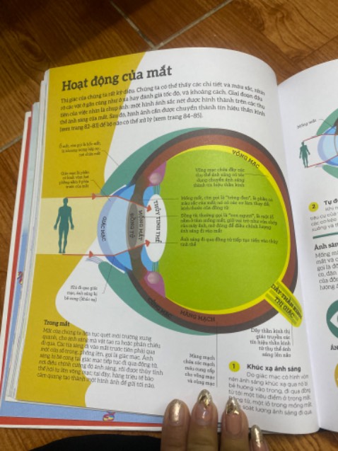 Mình có cuốn giải phẫu học atlas rồi nhưng cuốn này vẫn cần trong bộ sưu tập,vì từ vựng cơ thể học vừa đủ nên sẽ hiểu nhanh hơn cuốn chuyên môn kia