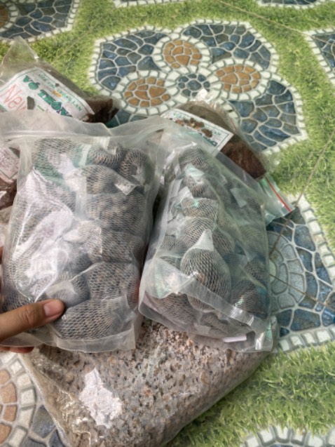 Đặt đơn hàng rất nhiều đồ nhưng chỉ có vài món giao đúng thùng đồ rách toạt