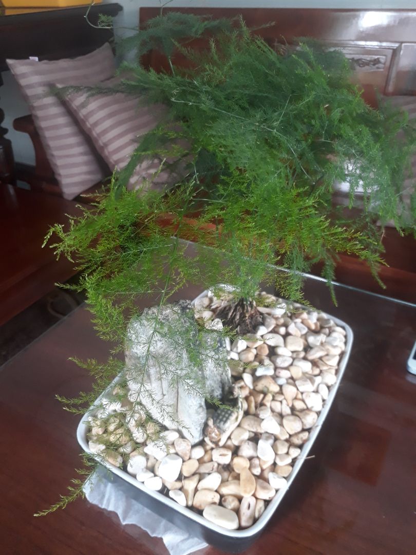 sản phẩm rất tốt. sẽ ủng hộ shop thêm nữa