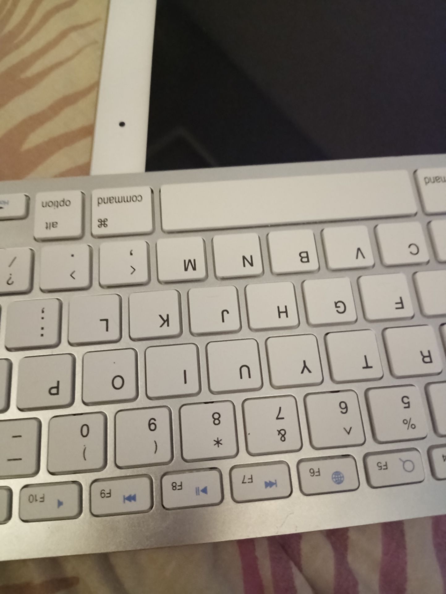 pịn chính hãnh, giá phù hợ, giao hàng siêu nhanh