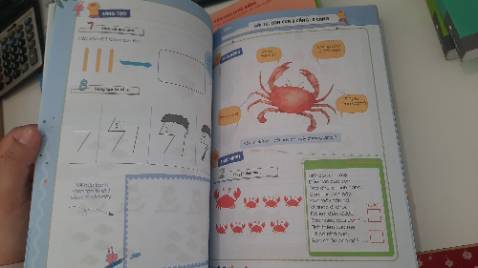 Tập 1 này gồm 20 bài giúp trẻ làm quen về số đếm thông qua các ứng dụng đời sống rất quen thuộc: các ngón tay, bông hoa, toa tàu, số chân loài vật, đi chợ. Cuối sách có cả 1 trang sticker để trẻ dùng cho sáng tạo nữa.
Mình đã mua trọn bộ 6 cuốn PoMath - Toán tư duy này. Kiến thức về toán (phạm vi đếm và ứng dụng) sẽ tăng dần từ tập 1 đến tập 6. Mỗi tập sẽ có các bài Toán kiểu ứng dụng vào đời sống và góc sáng tạo cho trẻ (không chỉ làm tính mà còn vẽ, ghép hình). Các trang đều có tranh màu sắc sinh động.