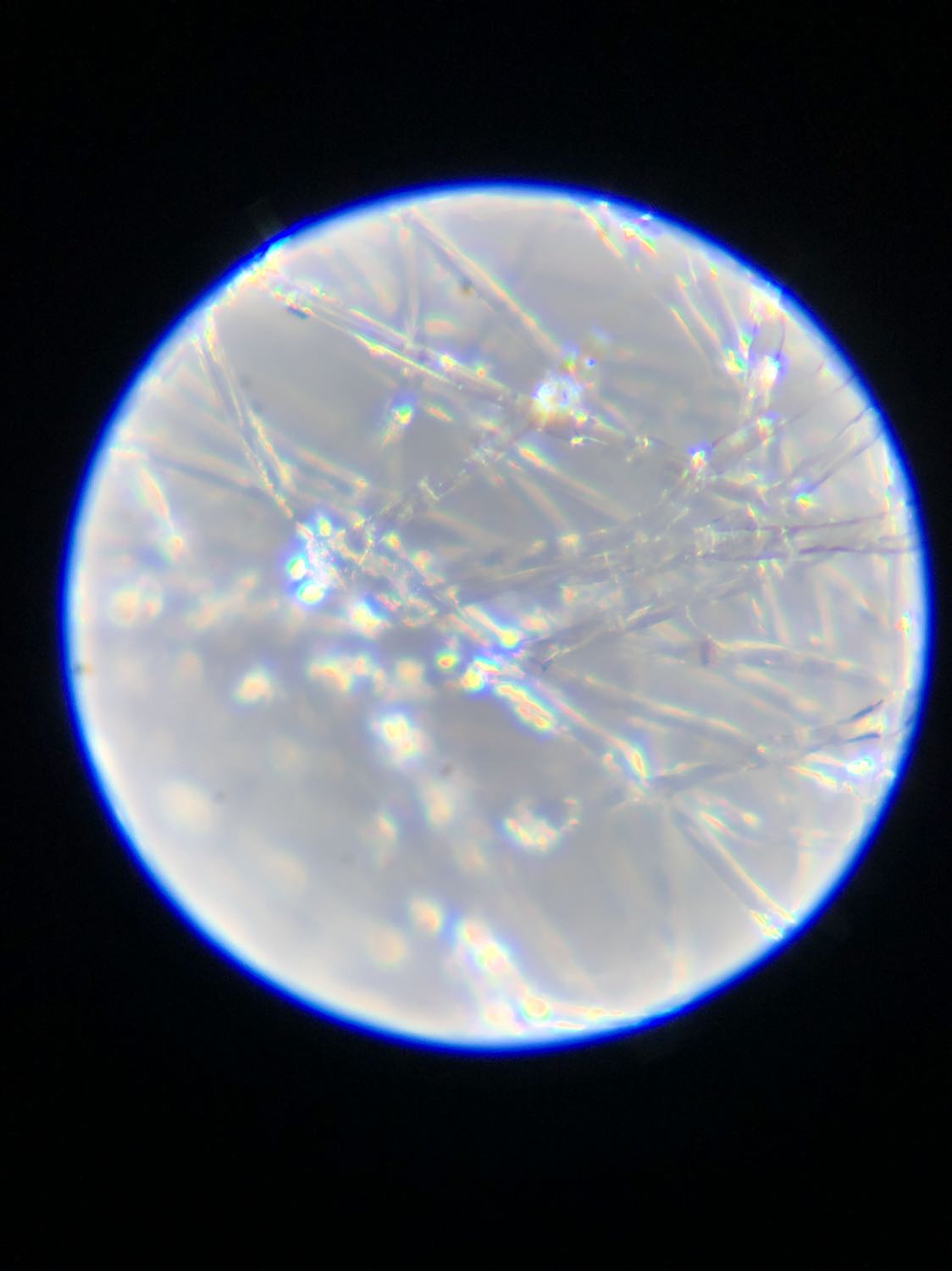 Đồ chơi thì như vầy là đúng giá rồi. Mua về gài cho thằng cu ở nhà tìm hiểu tg xung quanh. Hình chụp qua đt, cũng dễ gắn. Bà con nhớ chỉnh focus ko thì lại review kính dỏm tội cửa hàng. Haha