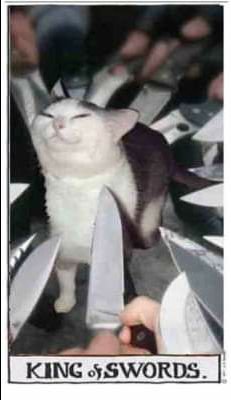 Sách nhìn bên ngoài khá đẹp, đóng gói chưa cẩn thận lắm, mình mua tặng bạn nên chưa biết chất lượng bên trong như nào