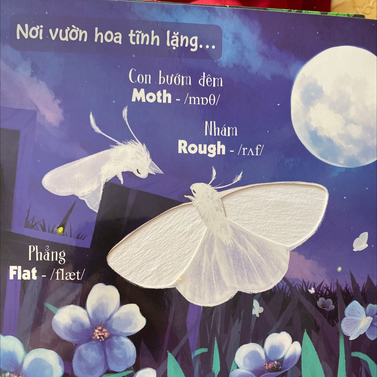 Sách đẹp lắm, được review nhiều dành cho các con phát triển xúc giác