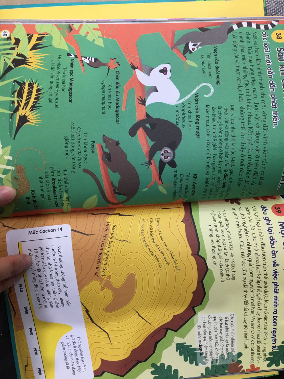 Sách hay, hình vẽ sinh động, hấp dẫn; giấy dày dặn, bìa cứng.
Tiki giao hàng nhanh, đóng gói cẩn thận.