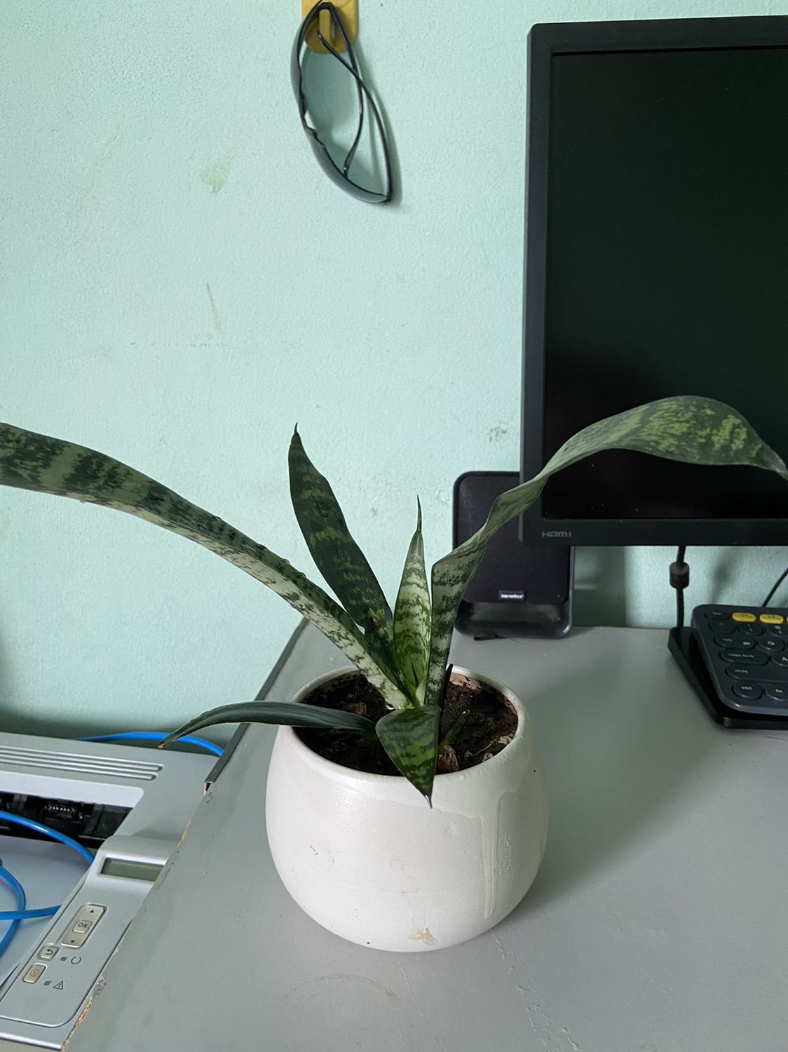 Giao hàng nhanh chất lượng ok lắm luôn