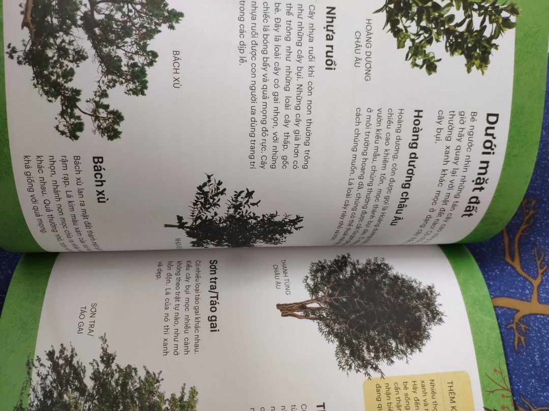 Tiki đóng gói hàng cẩn thận, sách giao còn mới nguyên, nội dung viết kiểu tóm gọn có tranh minh họa