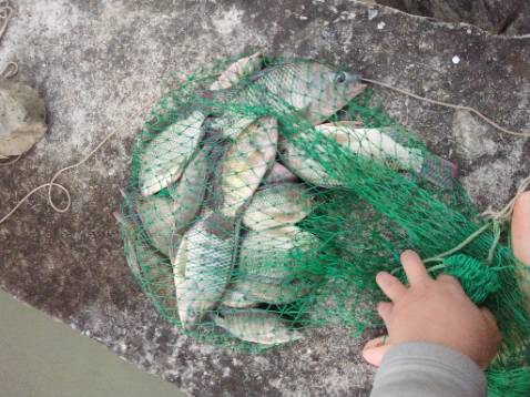 Hàng giao nhanh, sản phẩm cũng khá ổn, đã mua lần thứ 2 rồi. Sẽ ủng hộ shop tiếp khi cần.