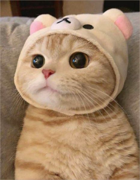 🥰Sản phẩm rất xinh đẹp tuyệt vời, tôi không thể trông đợi gì hơn. Cảm ơn nhà cung cấp, nhà sản xuất, cảm ơn người bán hàng, cảm ơn sàn thương mại điện tử, cảm ơn người vận chuyển để tôi có cơ hội dùng sản phẩm tốt như thế này.
😎Hàng đóng gói rất đẹp. Hộp không có dấu hiệu bị móp, chứng tỏ bộ phận vận chuyển đã nâng như nâng trứng, hứng như hứng hoa. Xin nghiêng mình cảm ơn vì tất cả.