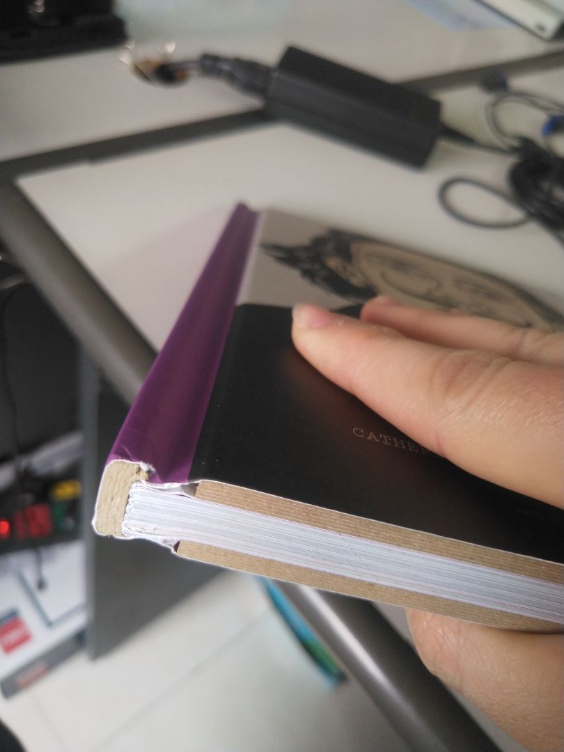 giao hàng siêu nhanh. trang in ổn. ko thích cách làm bìa và gáy. được khuyến mãi cái tăm của bác nào đó... hixhix