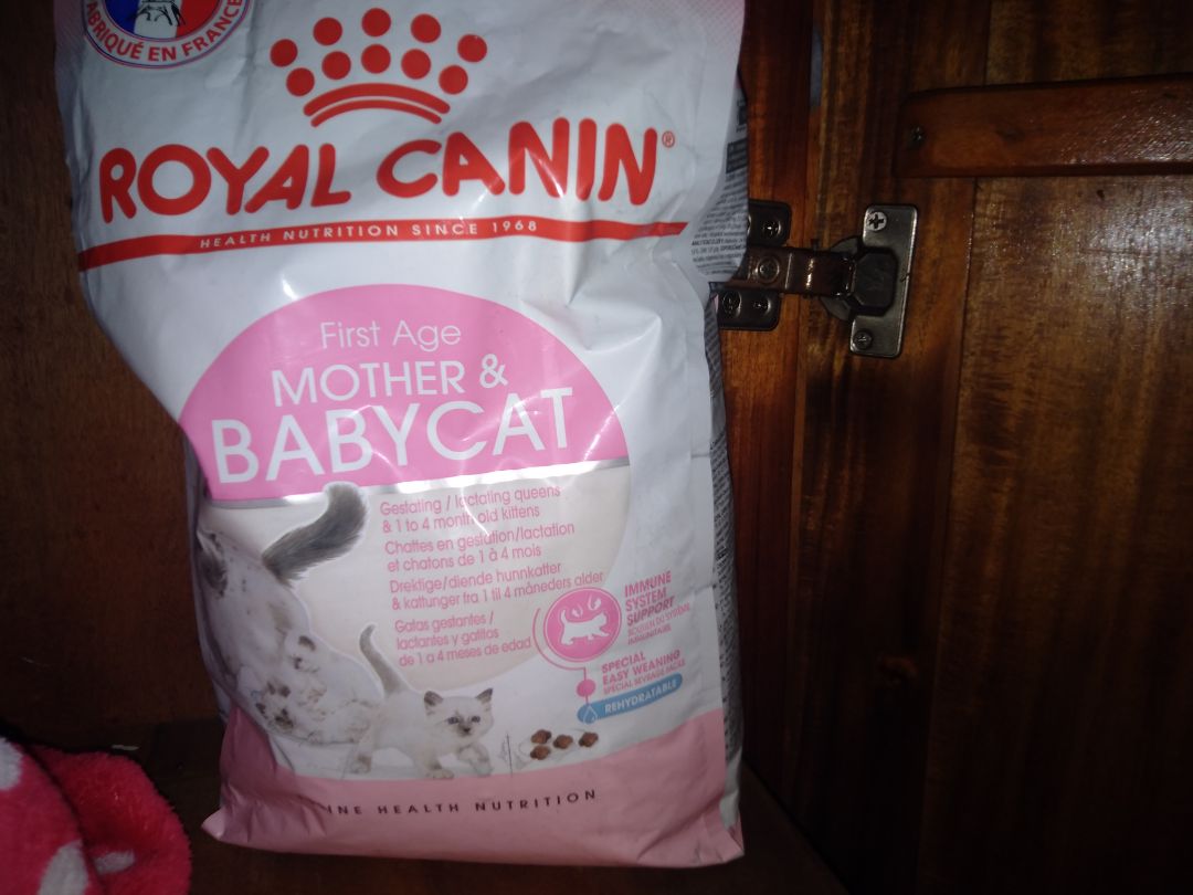 mèo nhà ưng với ăn mạnh hơn loại mình mua lúc trước.Sẽ mua tiếp lần tới.