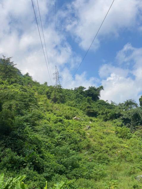 Nồi dầy nấu nhanh, giao hàng nhanh