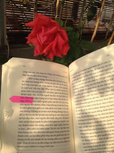 "Đất mồ côi" là một tác phẩm bác Tạ viết hay nhất so với các tác phẩm trước giờ theo mình đánh giá, với đầy những trăn trở, suy tư, suy hướng về đất nước này, cũng như bao nhiêu lớp trí thức khác - mỗi người một suy nghĩ - một định hướng - một con đường... Nhân vật, để tìm ra mục đích cuộc sống, phải sống ra sao là đúng? Thì phải truy xét lại quá khứ, nguồn gốc của bản thân... Phải biết rõ "mình là ai? mình tồn tại vì điều gì? thì mới biết mình định đi đến đâu? và mình sẽ làm gì?"...Chứ đừng để chính mình lạc lối, lẩn quẩn trong mê cung & bị vô minh của quá khứ che phủ...Cuộc đời mỗi người (hay vận mệnh mỗi dân tộc cũng vậy) vốn hữu hạn, nếu không làm đúng những gì mình muốn thì biết đến khi nào???? - Những "ụ mối đùn" chính là kết quả sau cùng của bạn????....Một tác phẩm có 3 chữ ĐÁNG: ĐÁNG ĐỌC, ĐÁNG SUY NGHĨ, ĐÁNG TRÂN TRỌNG!!!