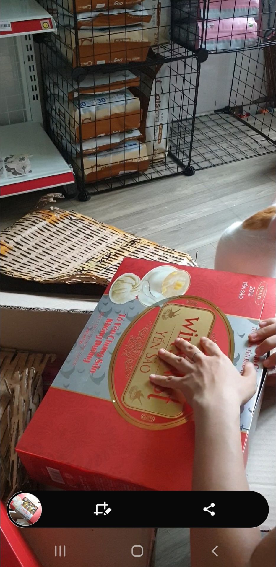 mẫu mã đẹp, nhiều loại lựa chọn