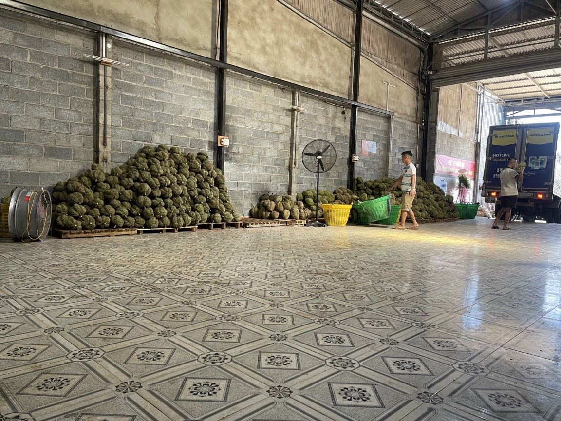 Sản phẩm chất lượng, shop giao nhanh và lắp đặt gọn gàng Sản phẩm chất lượng, shop giao nhanh và lắp đặt gọn gàng