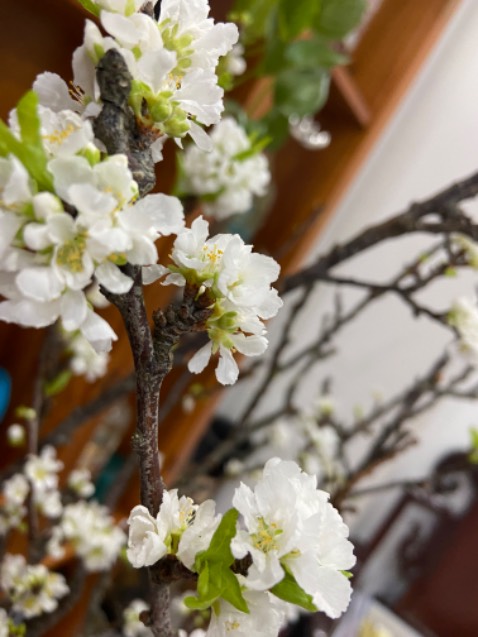 Chưa dùng nhưng mở ra thấy mùi thơm dễ chịu.
Tiki giao hàng nhanh và đảm bảo tốt.