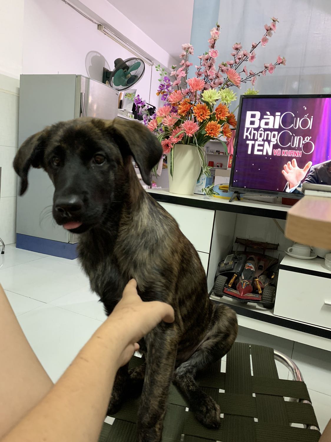 Sản phẩm ok lắm, bé nhà mình cực thích nhưng mà thích qá với lại răng bé qá sắc nên cắn trong vòng nửa ngày hết trơn :((( xong tự nhiên ói ra hết, cái nết hư dễ sợ Sản phẩm ok lắm, bé nhà mình cực thích nhưng mà thích qá với lại răng bé qá sắc nên cắn trong vòng nửa ngày hết trơn :((( xong tự nhiên ói ra hết, cái nết hư dễ sợ