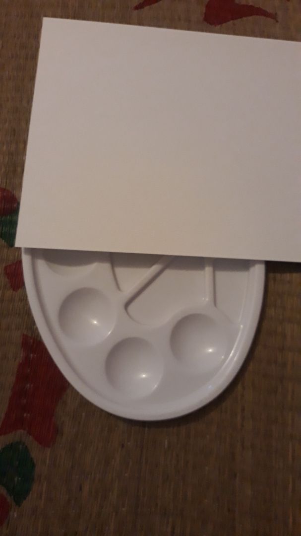 khay bằng nhựa cứng, giao hàng nhanh khay bằng nhựa cứng, giao hàng nhanh