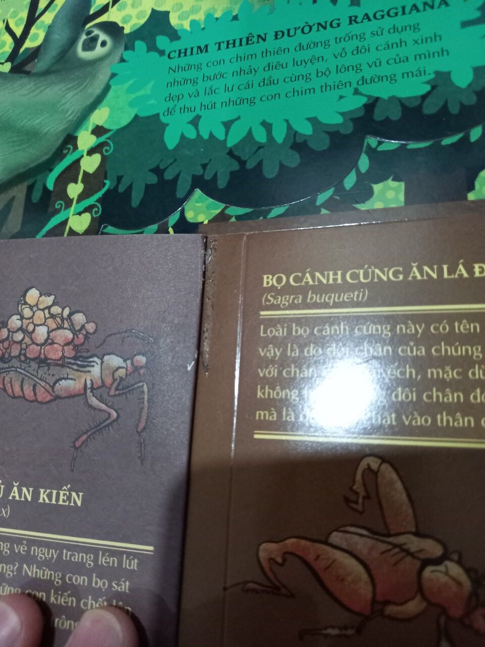 Sách bị hư hại, cũ. Gần như bung gáy từng trang. Lỗi trên trang, phần lật mở rách, trầy. Cần đổi trả lại.