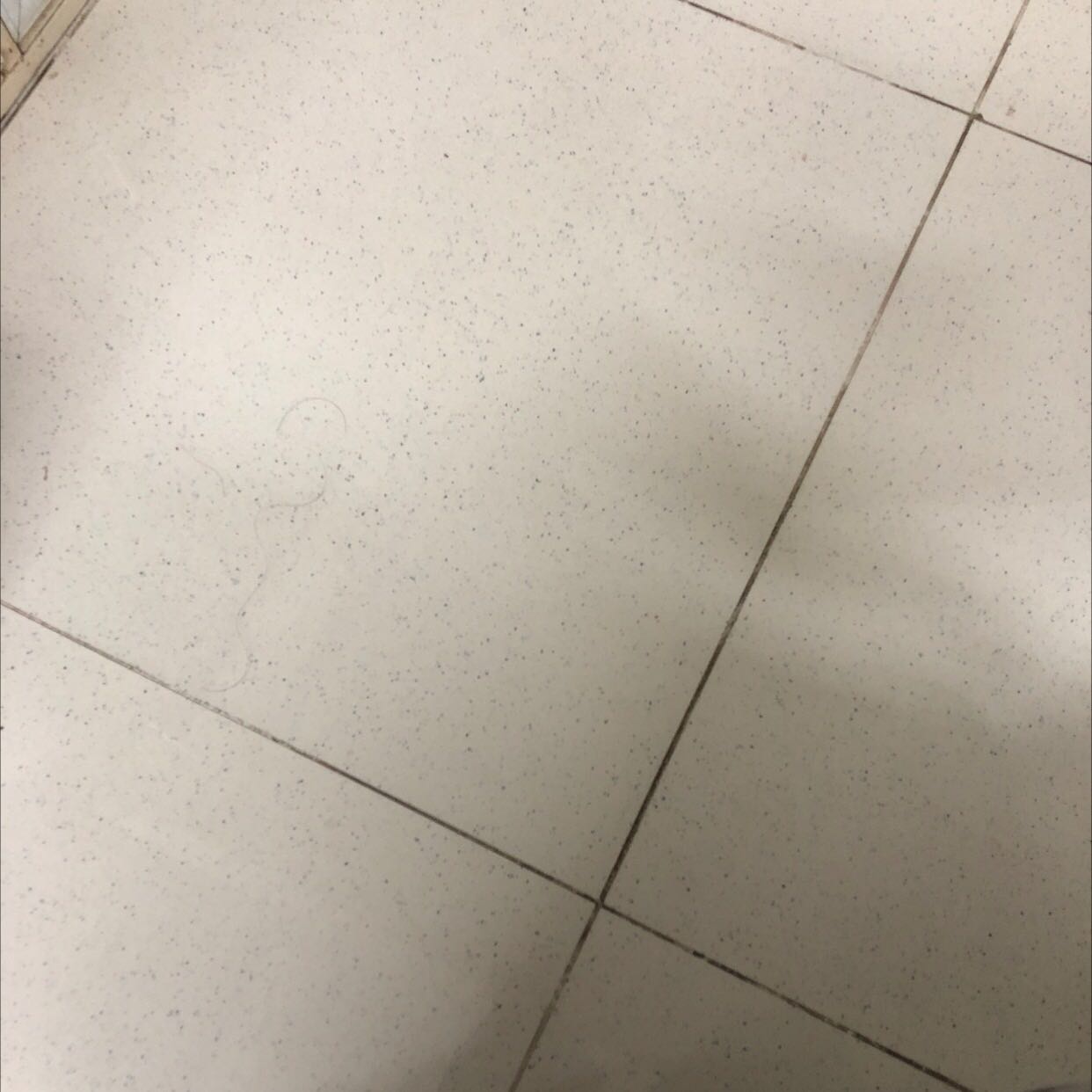 Sách hay, giá tốt