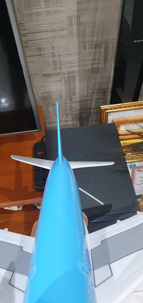 Hơi buồn vì 1 cánh sau bị ngược.