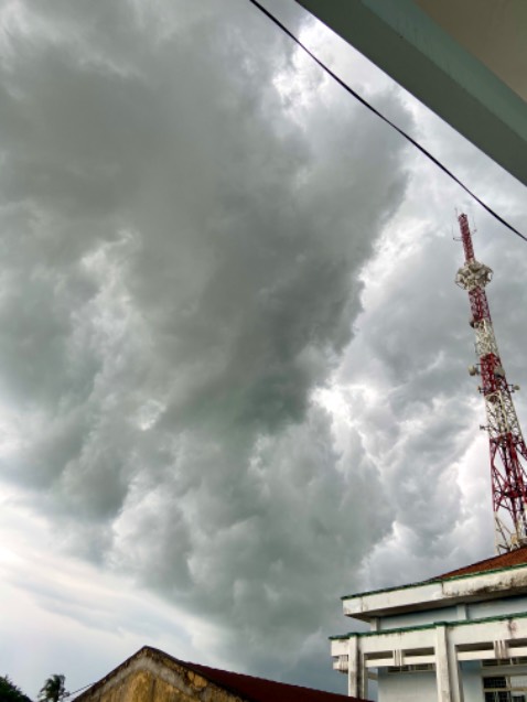 Những cuốn sách đọc lúc chiều mưa. Giọng văn của các tác giả trong trẻo mà đẹp, như những giọt mưa lả tả đáp lên tóc ta... một chiều mưa tuyệt vời!