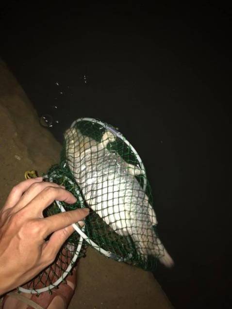 giao hàng hơi lâu ạ chắc phải hơn 1 tuần mới nhận duoc ấy hàng ổn ạ