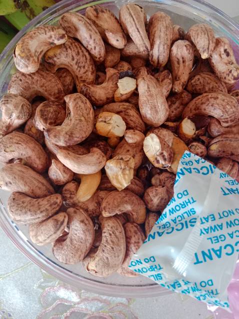 Hạt tương đối giòn. Nhưng hạt lép nhiều