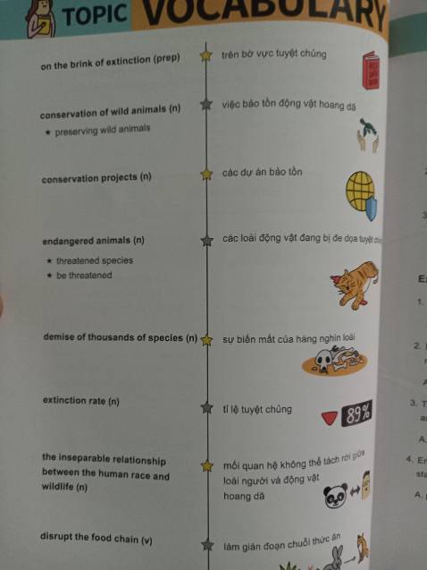 Sách cầm chắc tay, hình in sắc sảo, rõ nét, sinh động