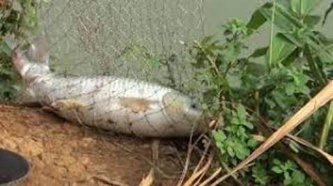 Giao hàng nhanh đóng gói chắc chắn đặt hộ nên kb ntn jjjhhhbvv